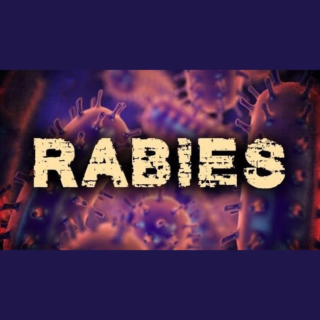 rabies logo sq