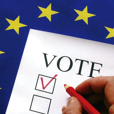 vote N1411P36011C