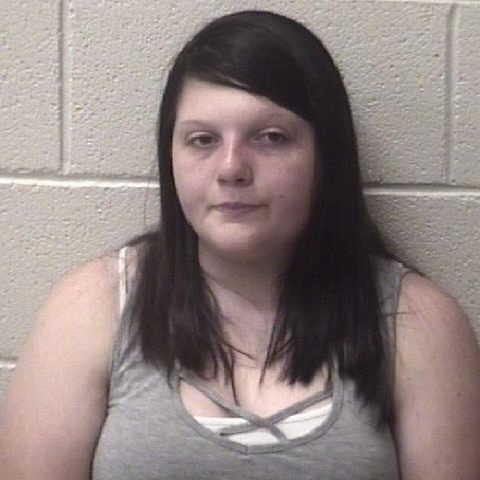 Heidi Darlene Wolfe